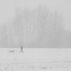 Jogger mit Hund im Schneetreiben