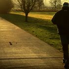 Jogger und Hund