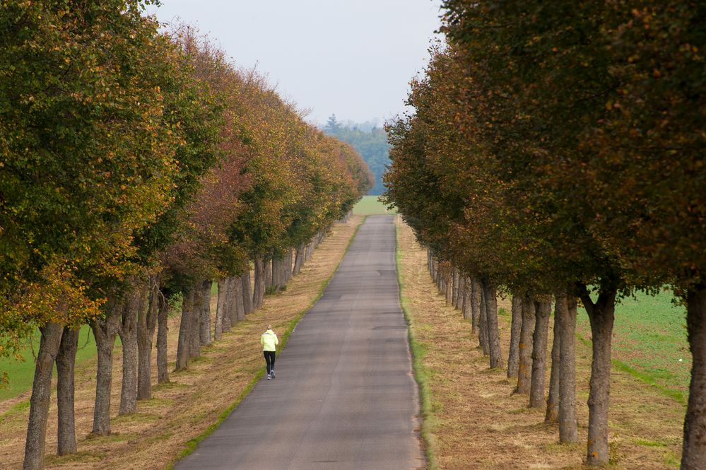 Joggerin