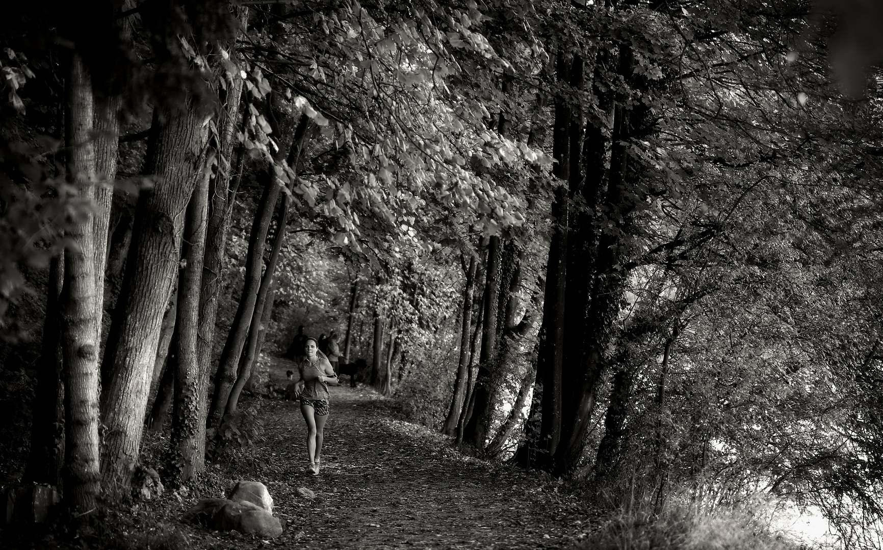 Joggerin im Herbstwald