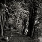 Joggerin im Herbstwald