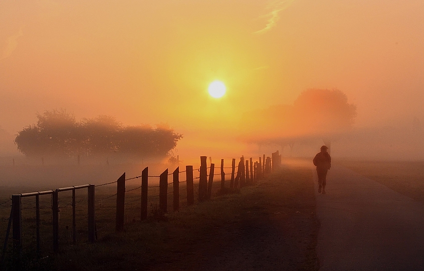 Joggerin im Morgennebel