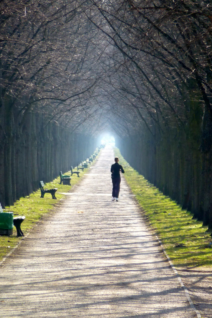 Joggerin in Herrenhäuser Allee