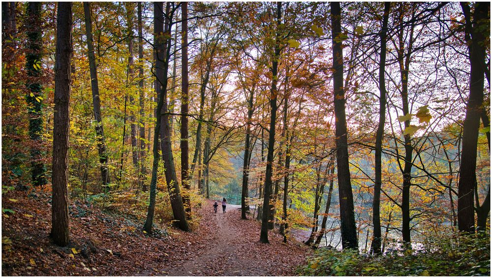 Joggerin mit Begleitung