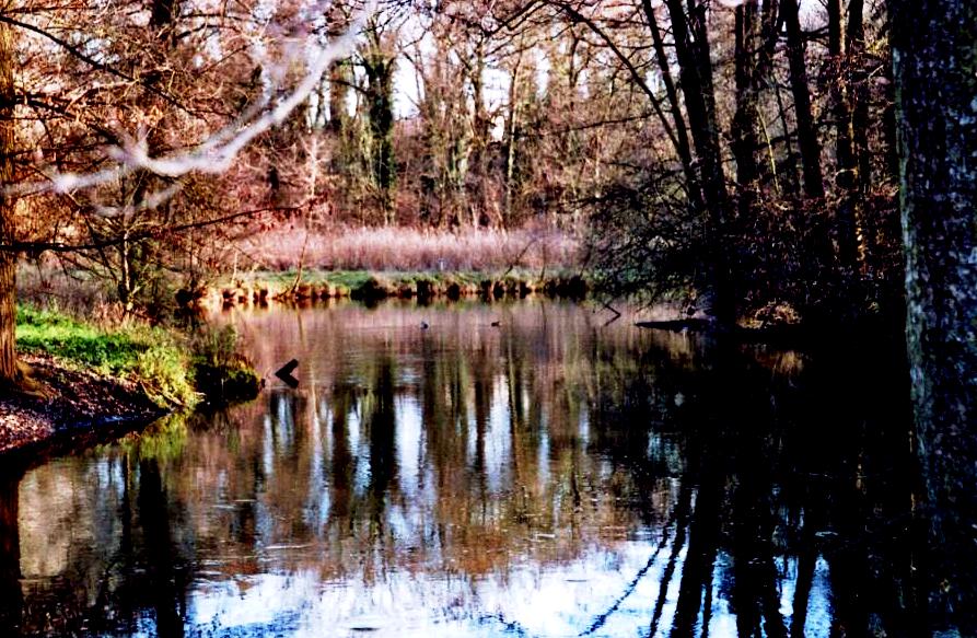 Jogging an der Pegnitz entlang