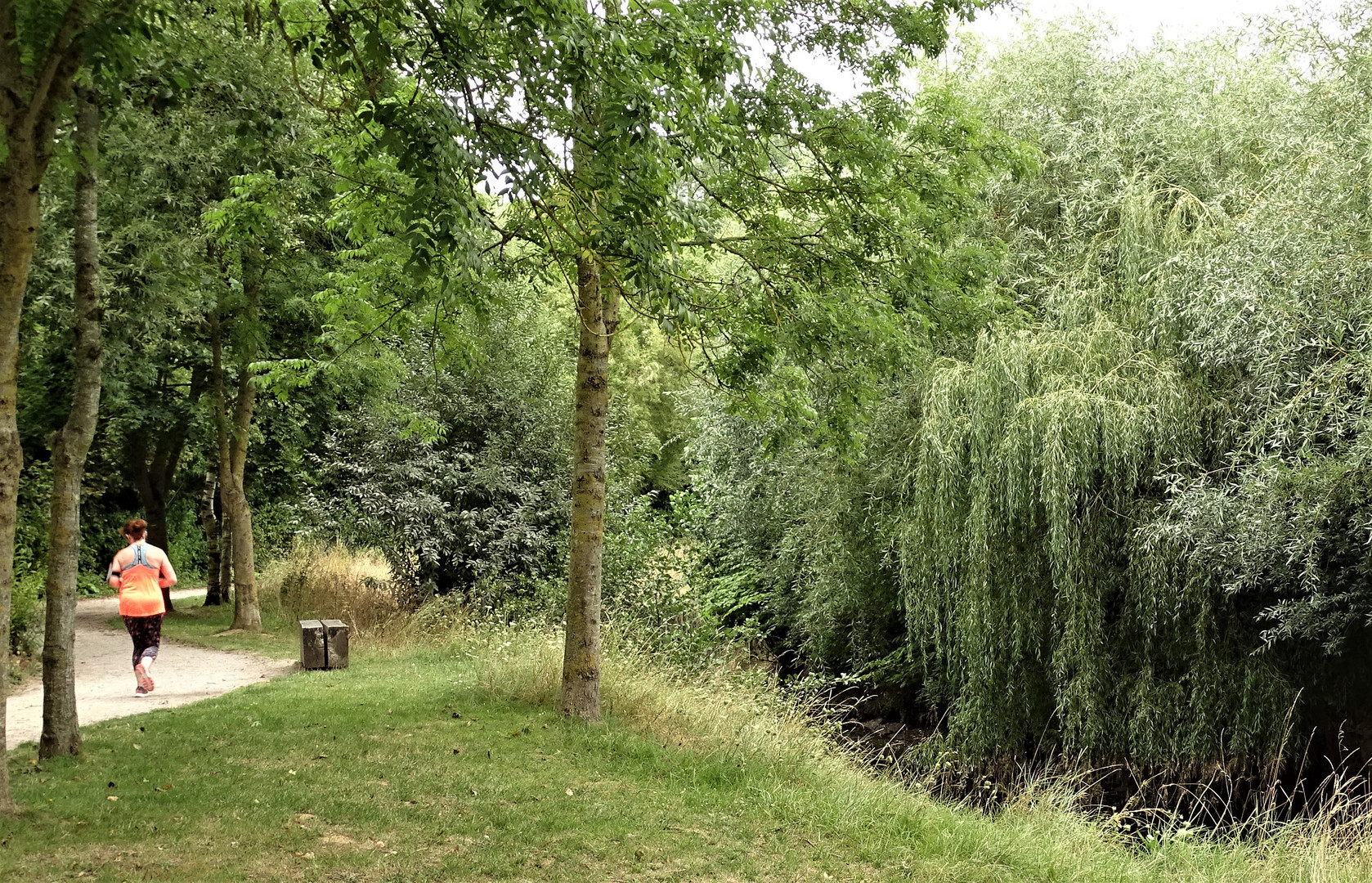 Jogging au vert