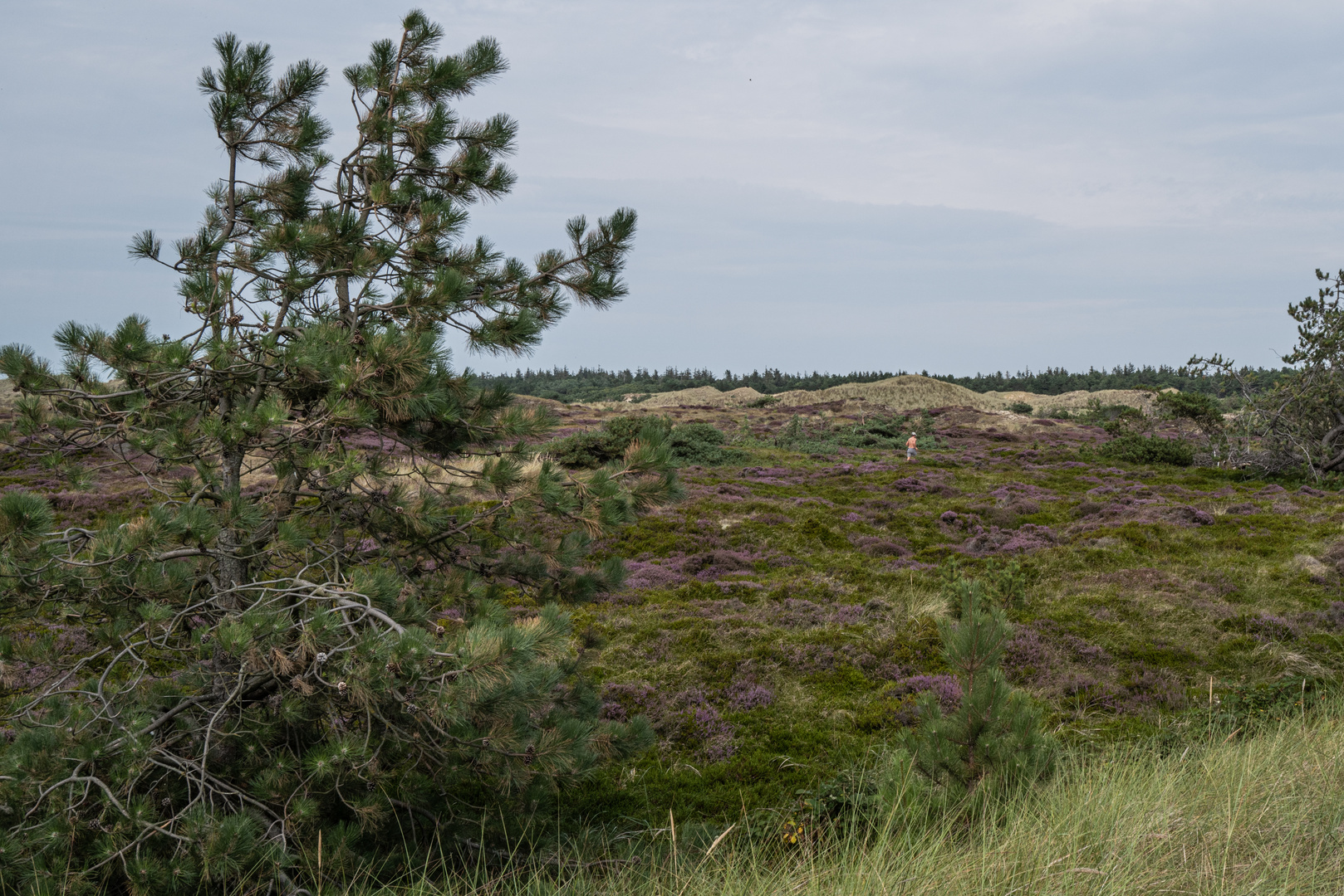 Jogging auf dem Wanderweg