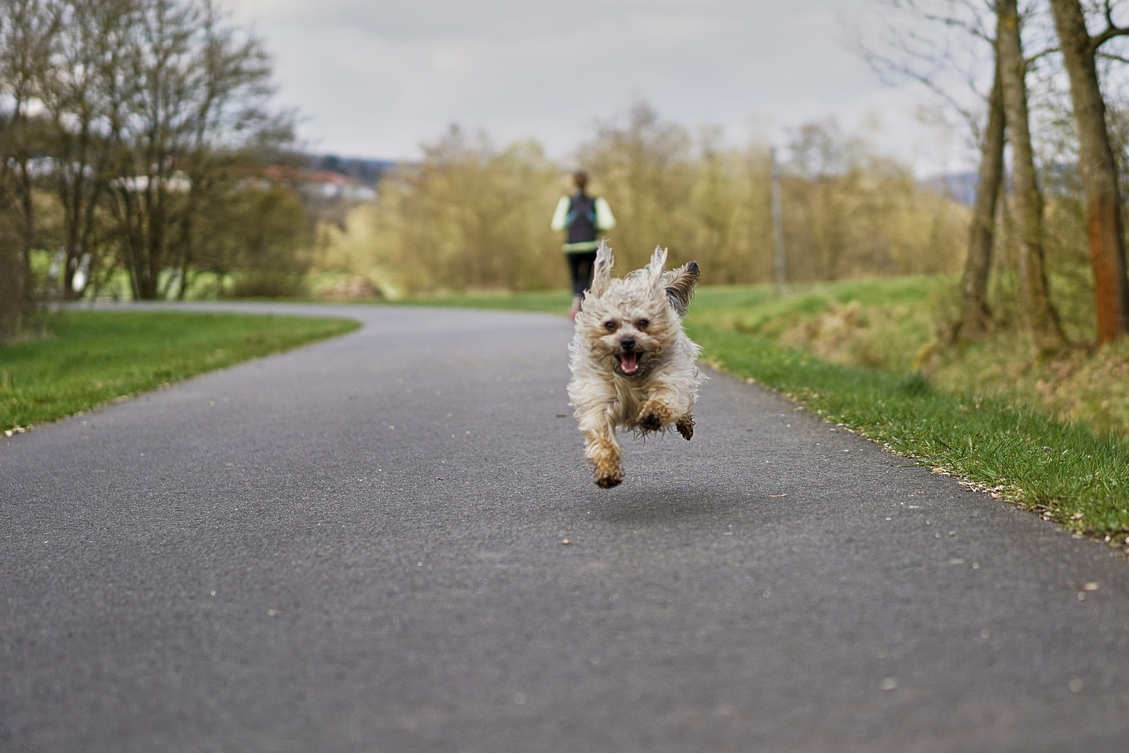 jogging