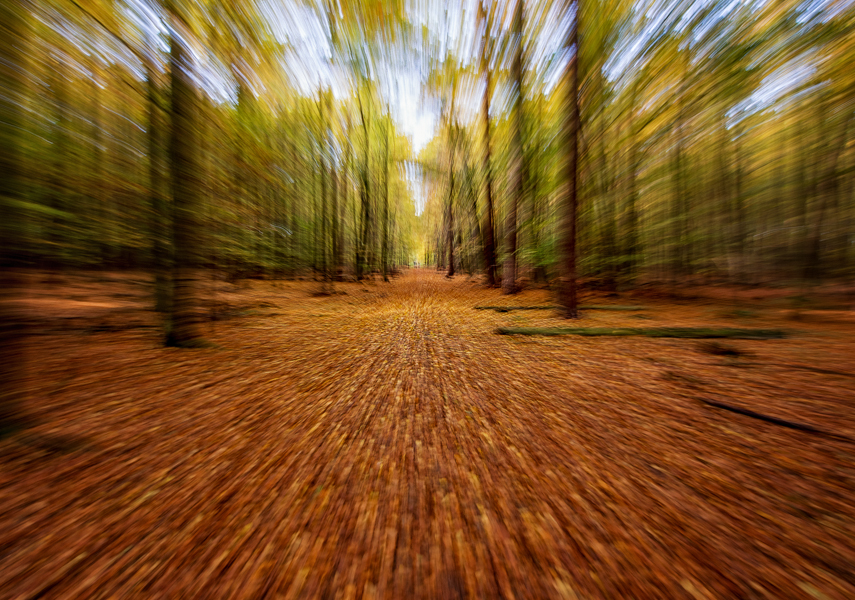 Jogging im Herbstwald