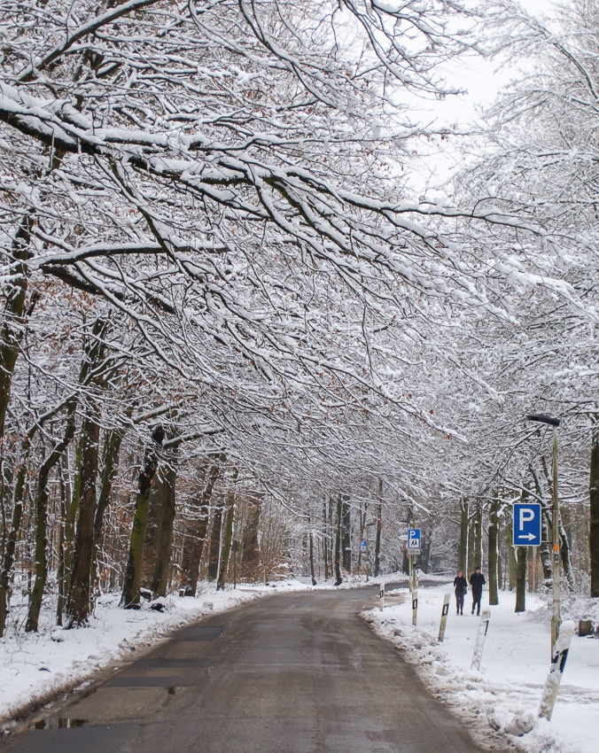 Jogging im Schnee