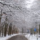 Jogging im Schnee