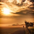 Jogging in der Morgendämmerung bei Nebel