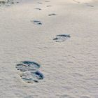 Jogging in snow