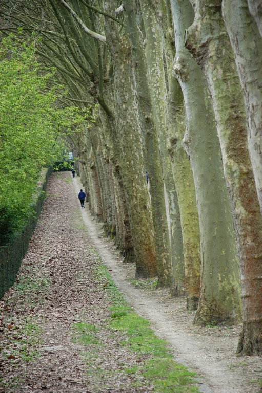 jogging parc de sceaux