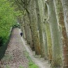 jogging parc de sceaux