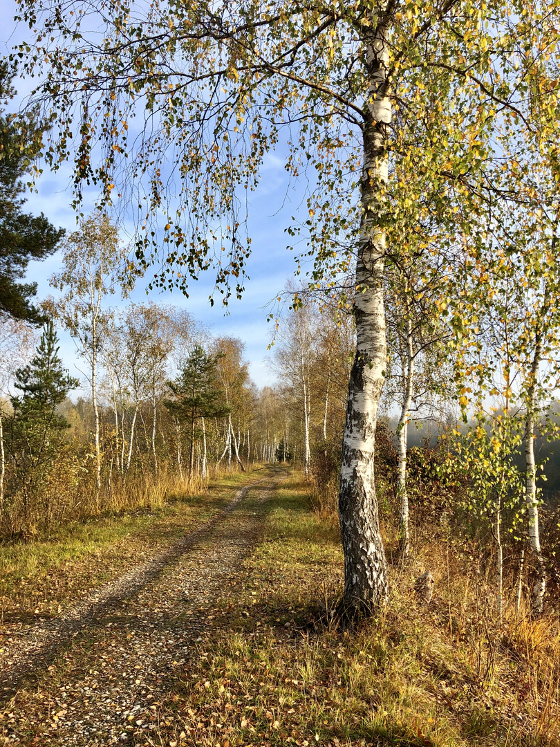 Jogging-Weg am Lech