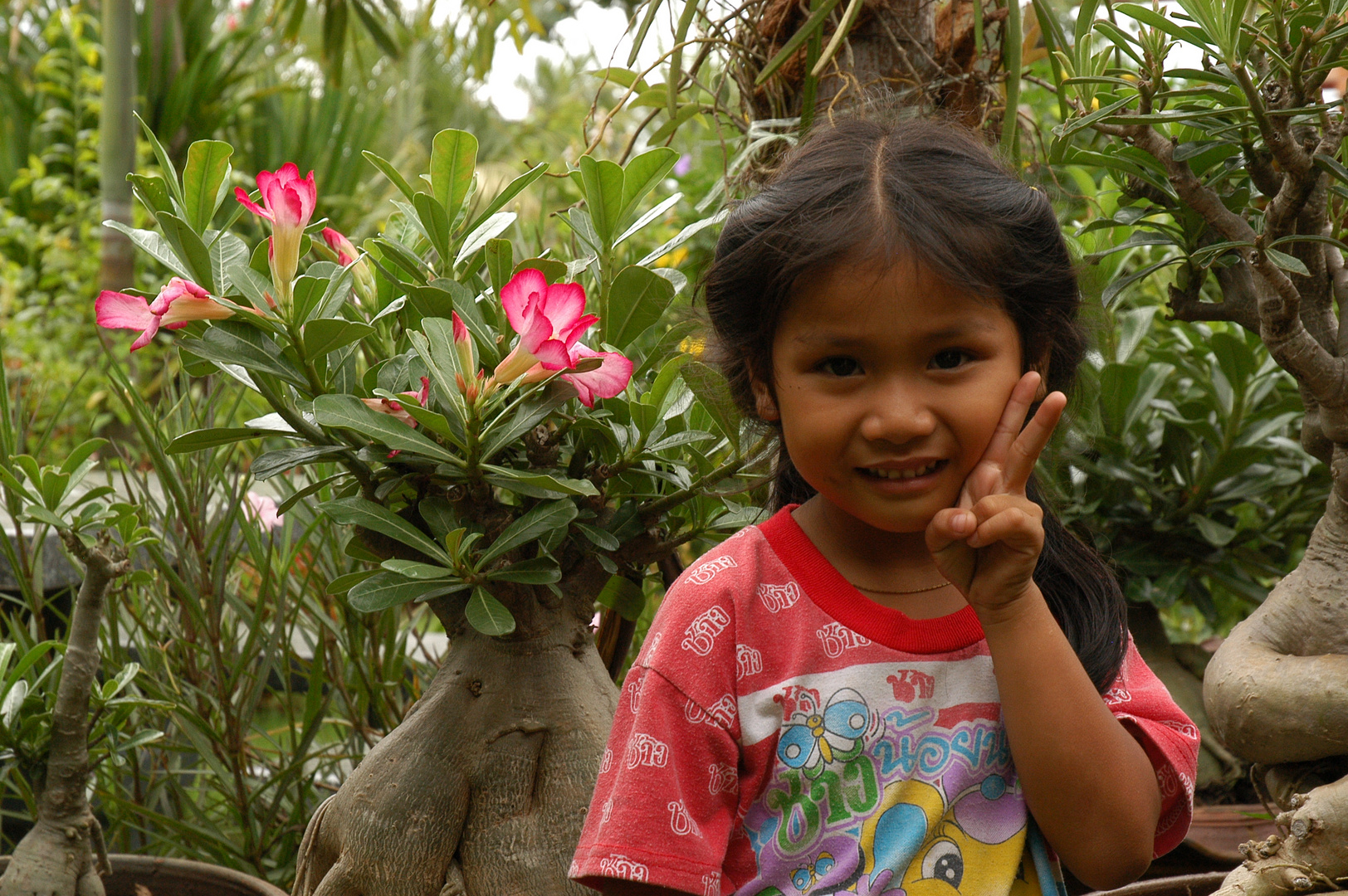 Joghurt in unserem Garten in Udon Thani