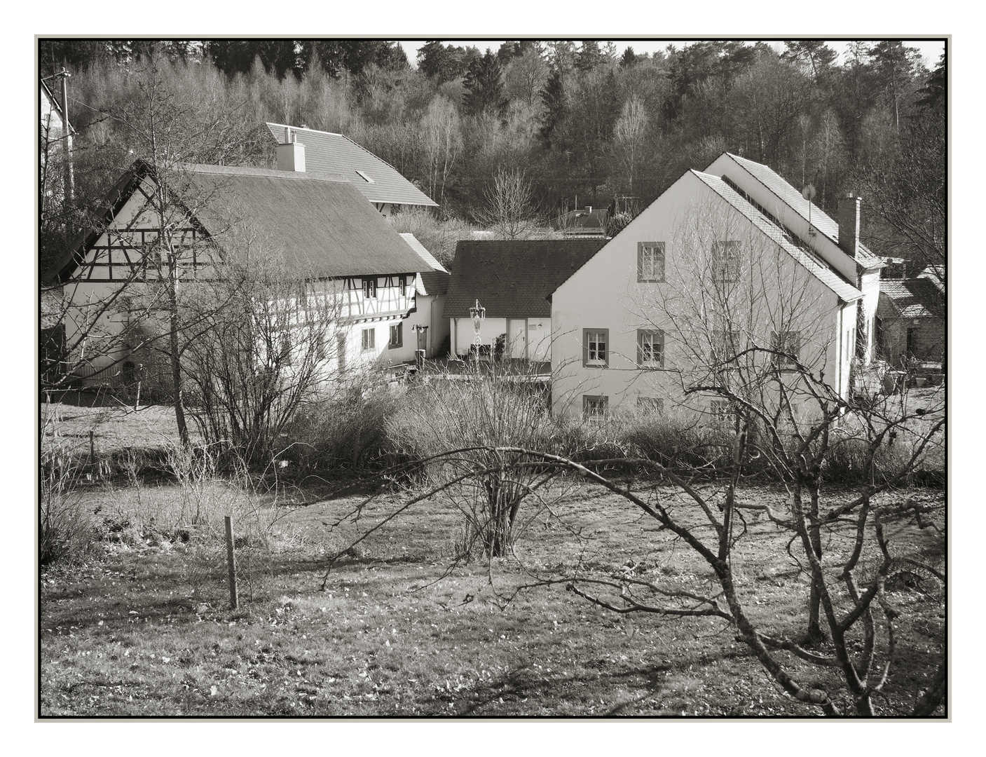 Johann-Adams-Mühle 