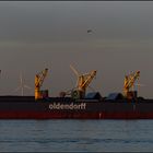 JOHANN OLDENDORFF (1) Bulker / Rotterdam