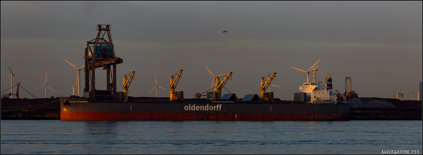 JOHANN OLDENDORFF (1) Bulker / Rotterdam