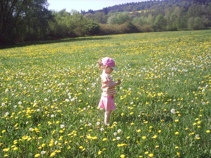 Johanna in der Sommerwiese