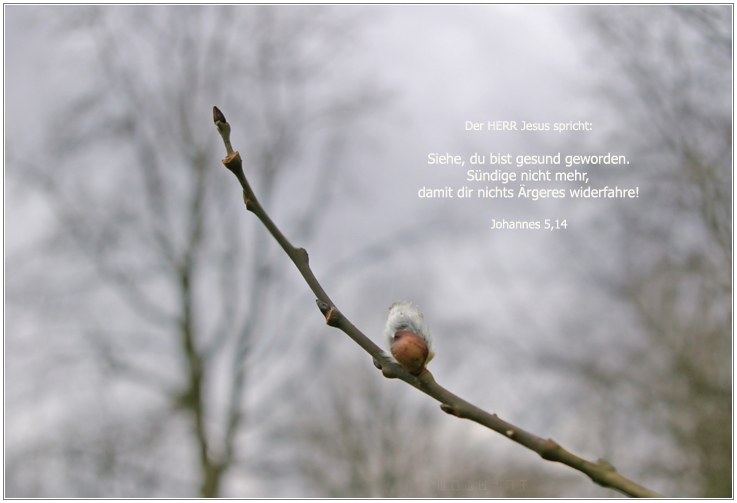 Johannes 5,14 | Bild zum Sonntag