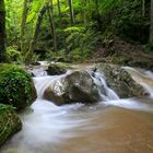 Johannesbachklamm (NÖ)