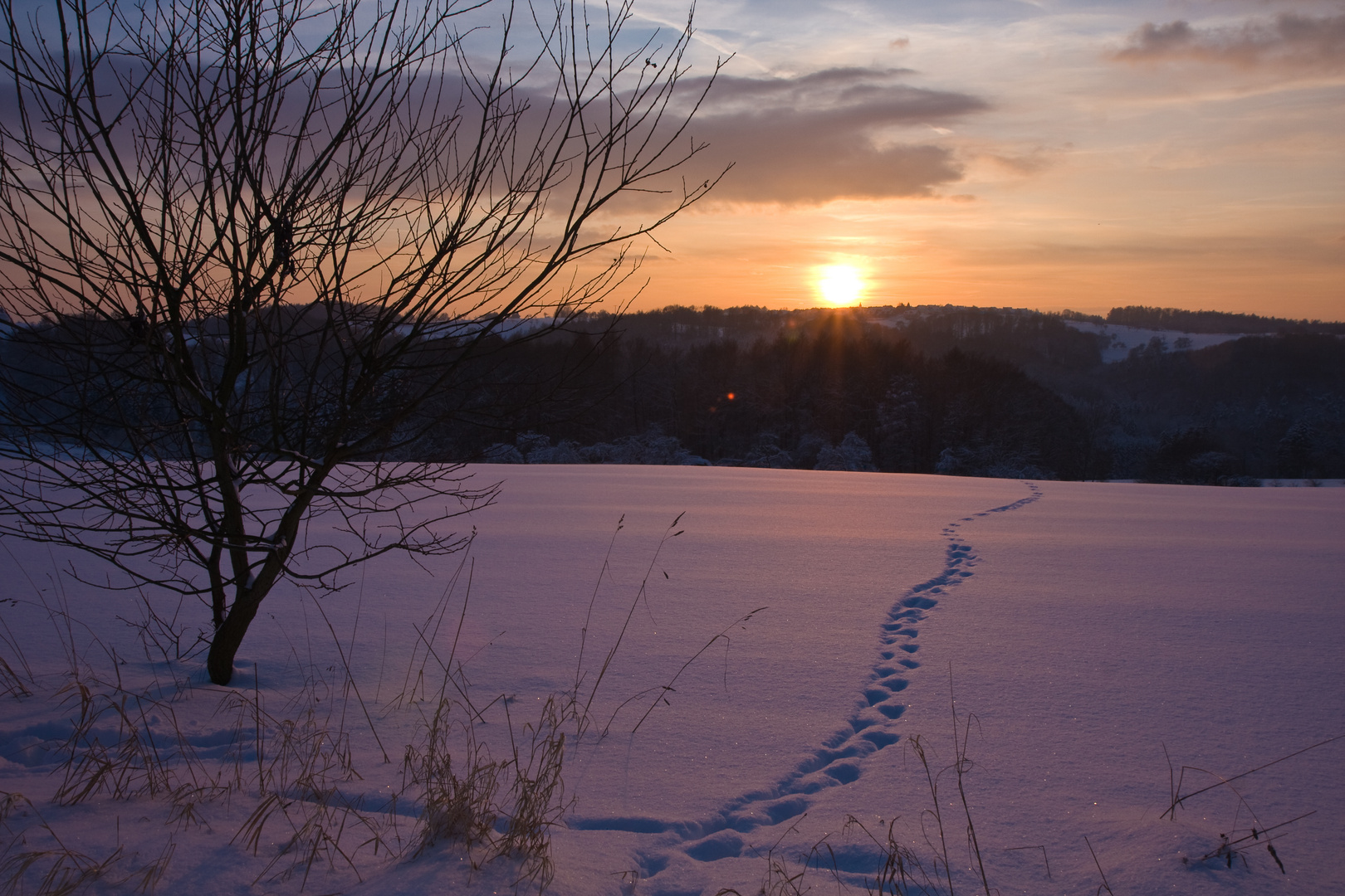 Johannesberg im Sonnenuntergang