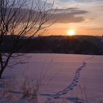 Johannesberg im Sonnenuntergang