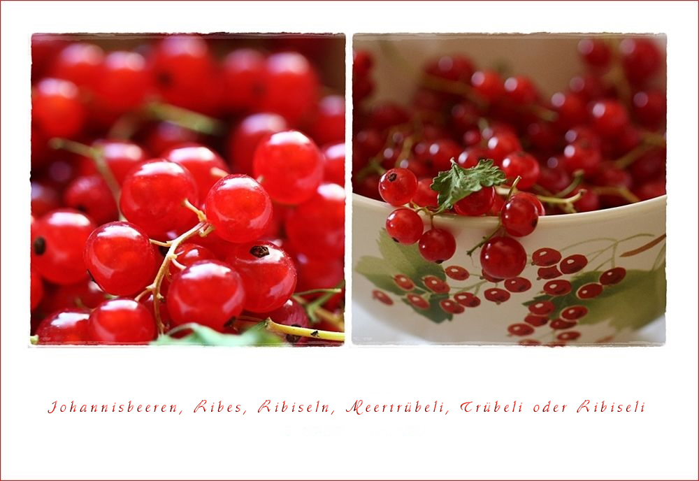 Johannisbeeren