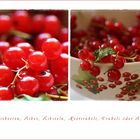 Johannisbeeren