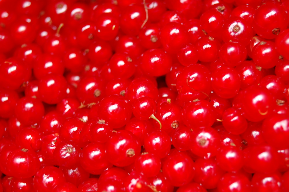 Johannisbeeren