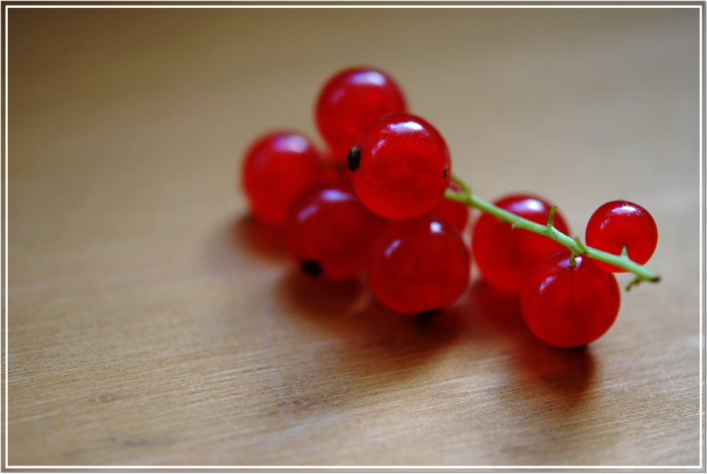 Johannisbeeren im Sommer...