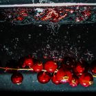 Johannisbeeren im Wasser 2