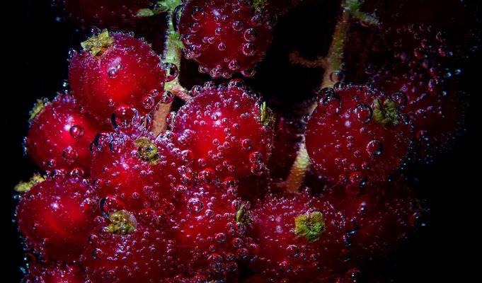 Johannisbeeren-Nähe