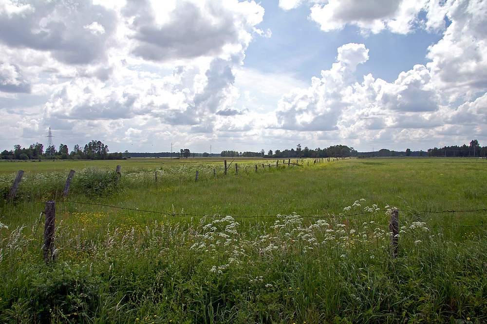 Johannisburger Heide