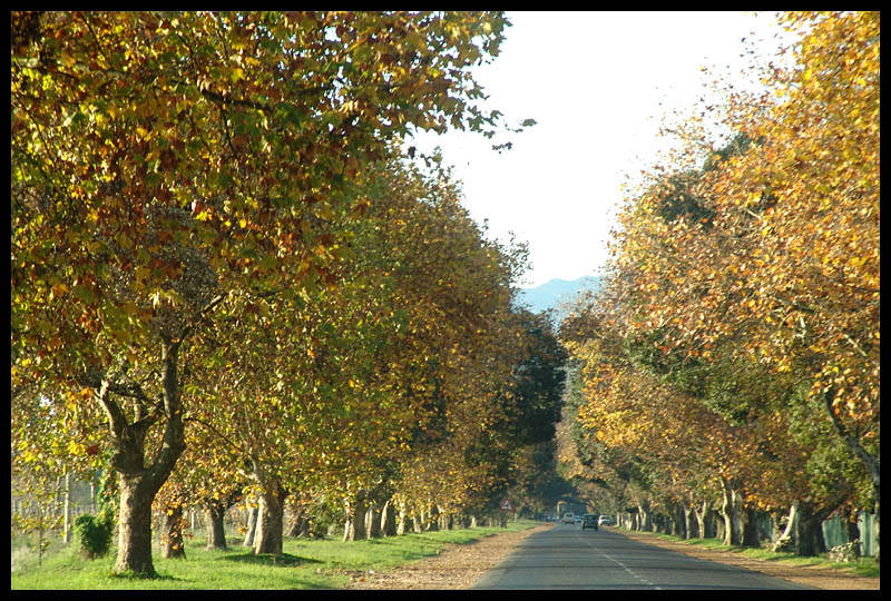 Johannisdal im Herbst (Mai 2007)