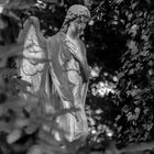 Johannisfriedhof - 2