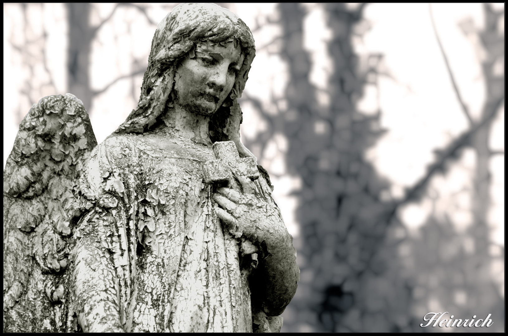 Johannisfriedhof Dresden