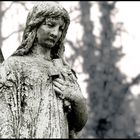 Johannisfriedhof Dresden