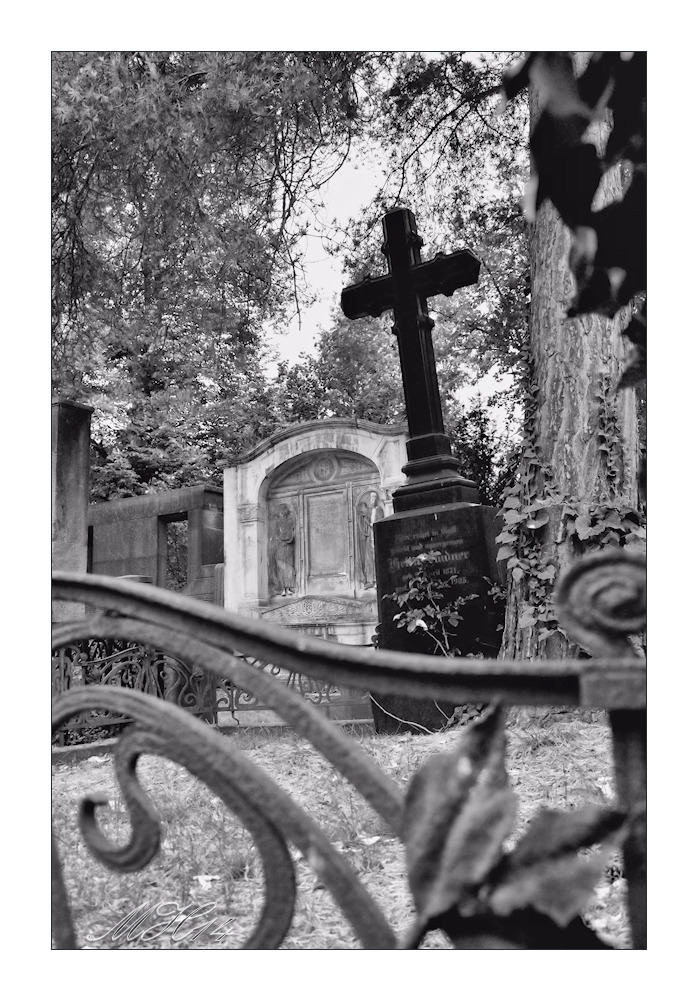 Johannisfriedhof in Dresden