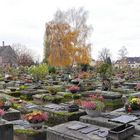 Johannisfriedhof in Nürnberg