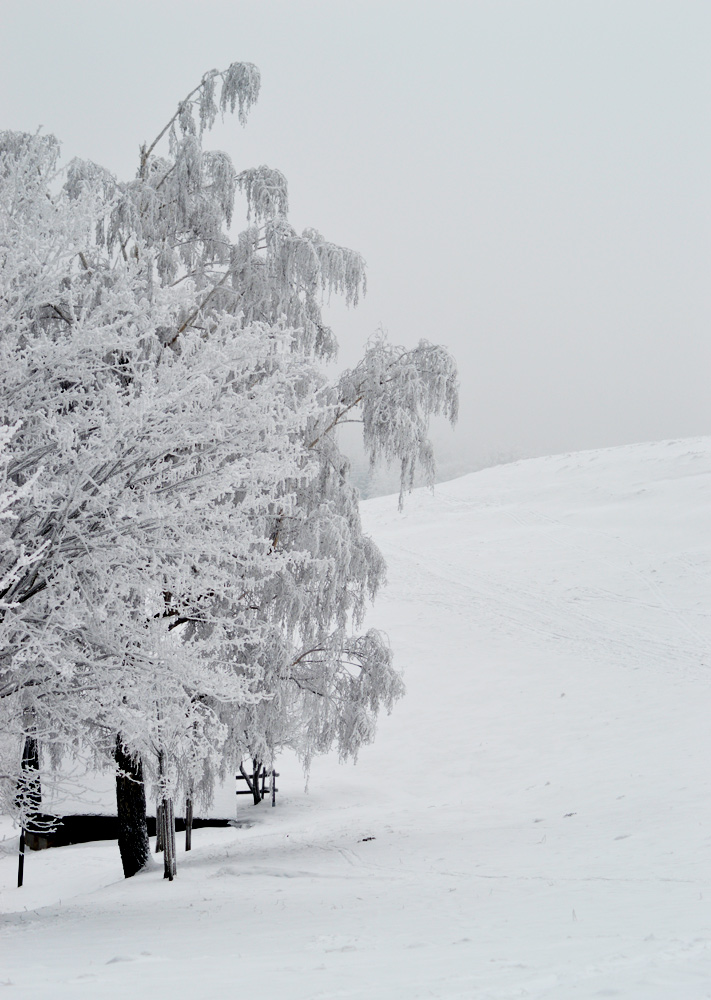 Johannisstein bei Oybin / Winterimpressionen