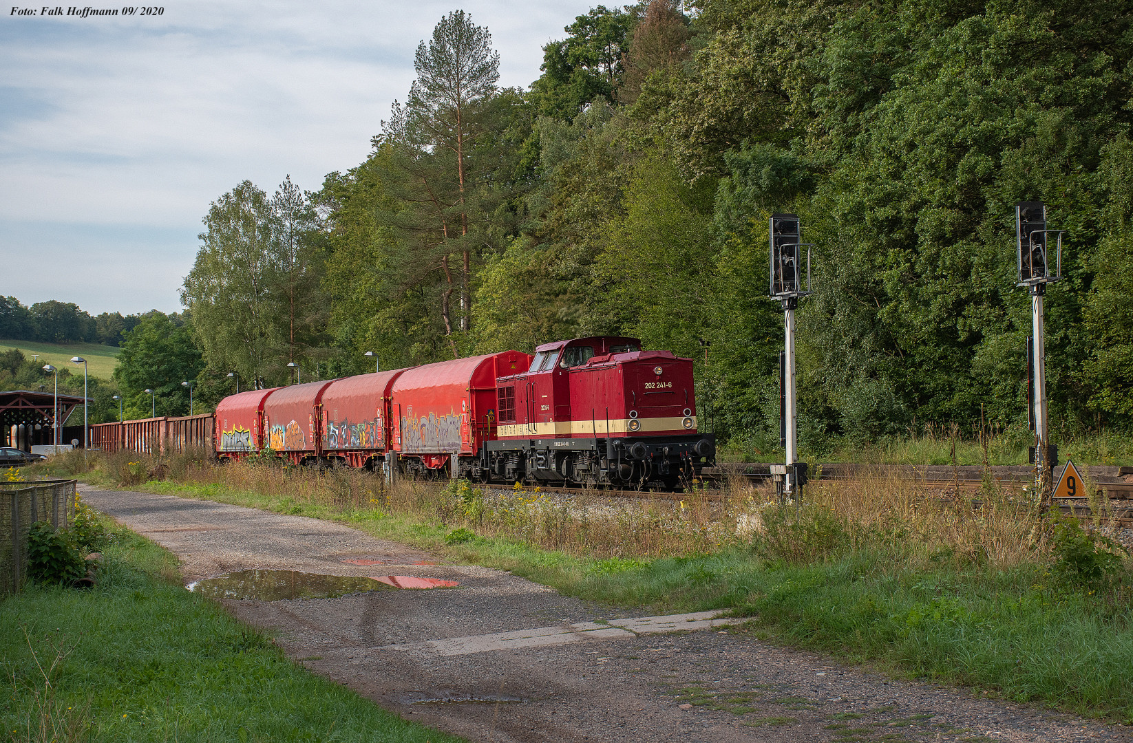 Johannisthaler Klänge im Walde