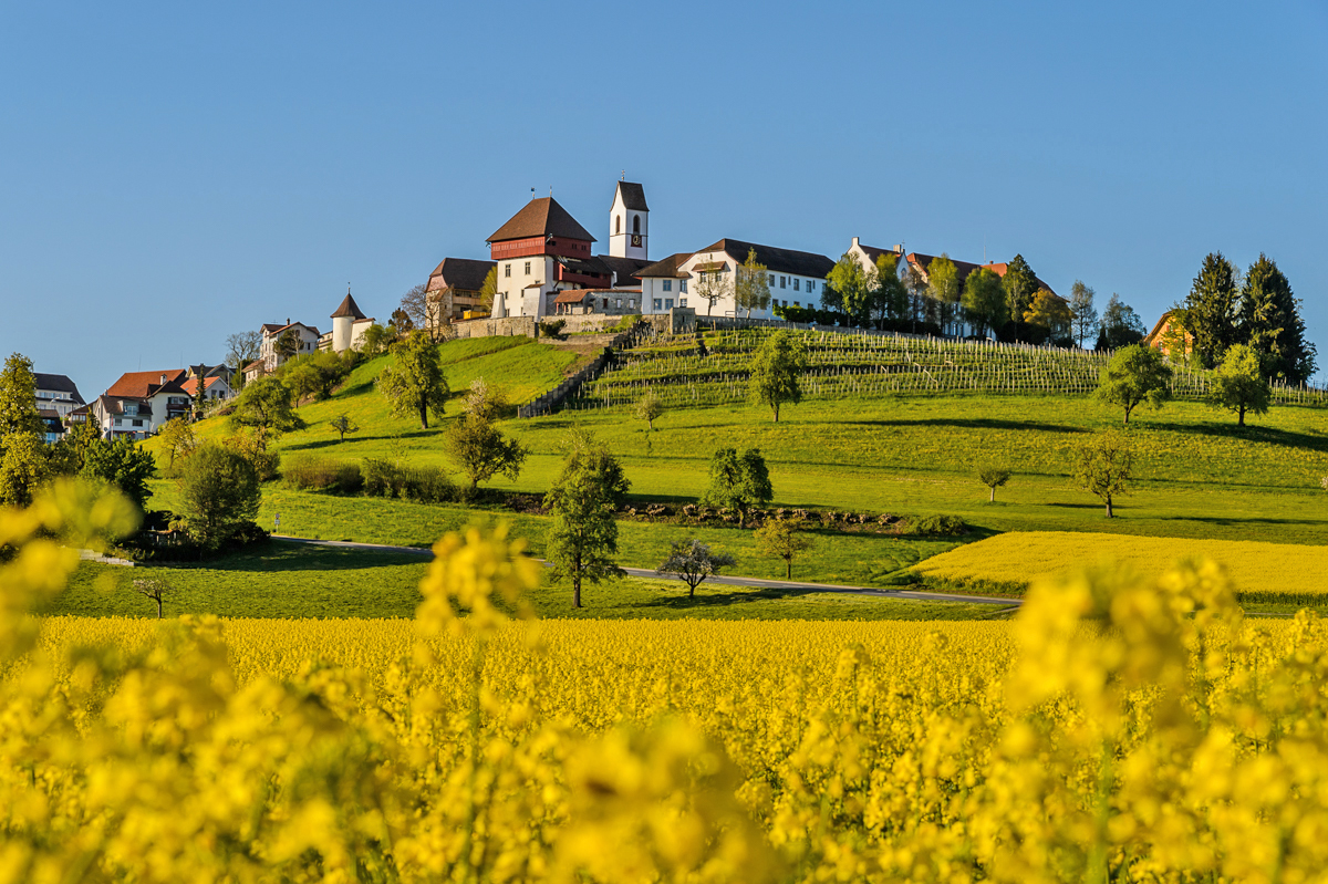 Johanniterkommende Hohenrain