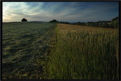 John Barleycorn