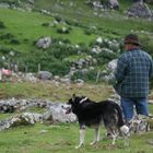 John beim Schafehüten in Irland