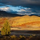 John Day Fossil Beds National Monument