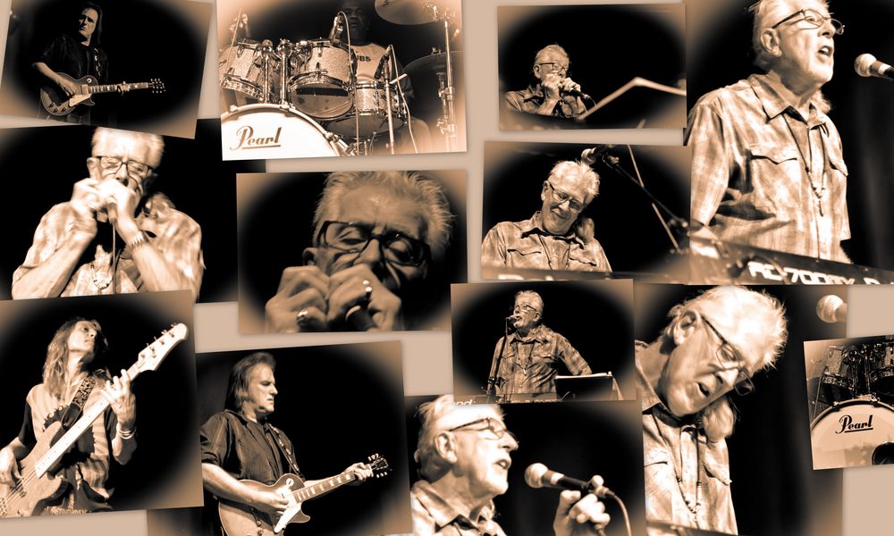 John Mayall 2011 live