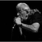 John Mayall 3